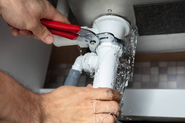 Best Flooded house restoration  in Gridley, IL