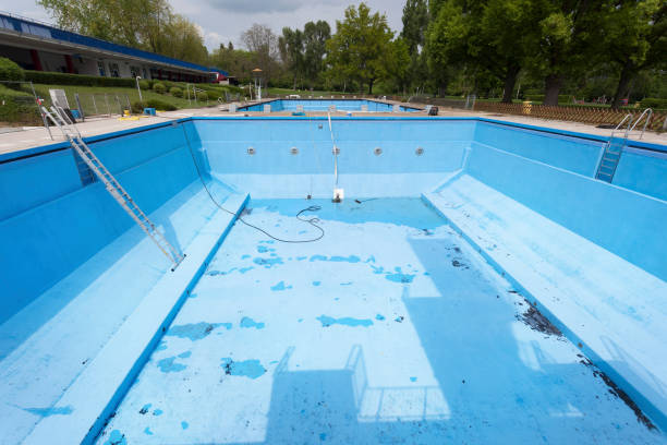 Best Water damage cleanup near me  in Gridley, IL