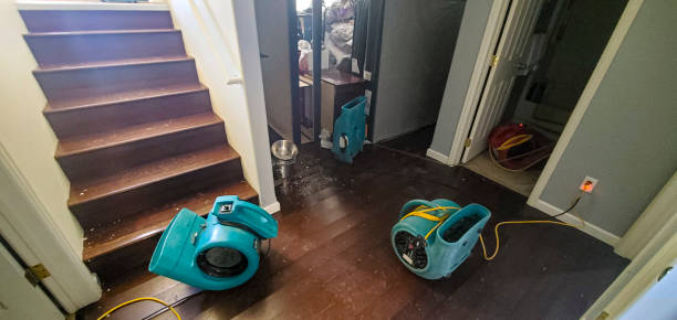  Gridley, IL Water damage restoration Pros