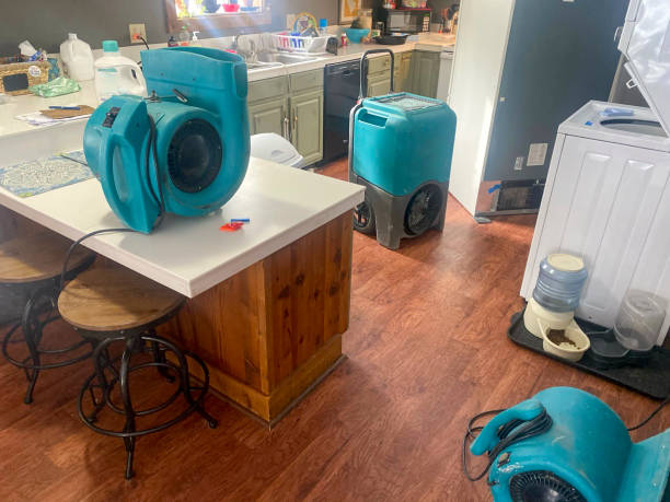 Best Fire Damage Restoration  in Gridley, IL