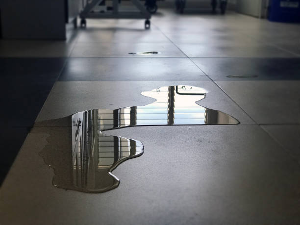 Best Water damage restoration near me  in Gridley, IL