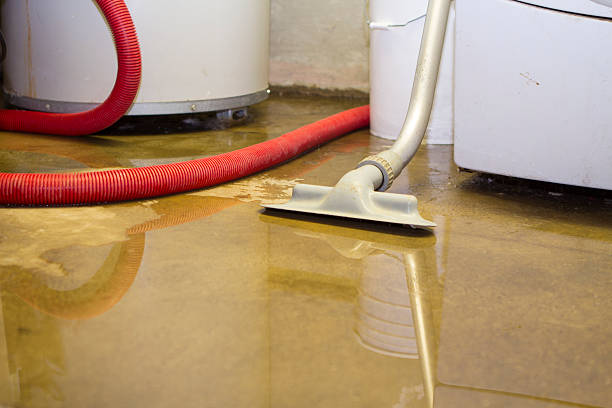 Carpet water damage restoration in Gridley, IL