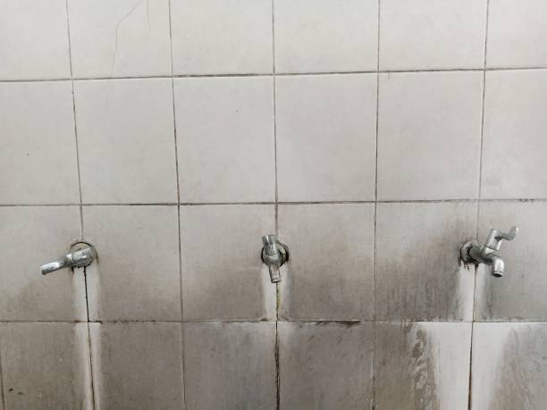 Best Residential water damage restoration  in Gridley, IL