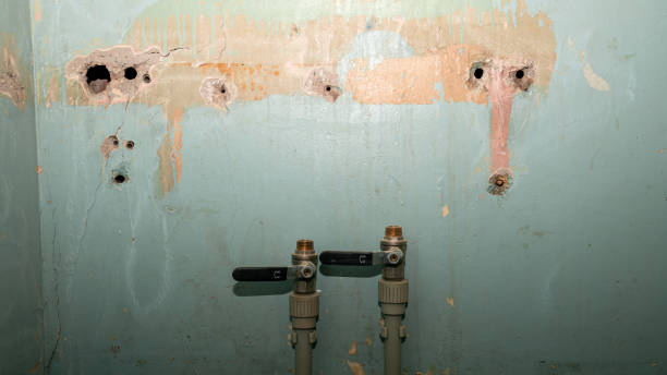 Best Water damage restoration company  in Gridley, IL