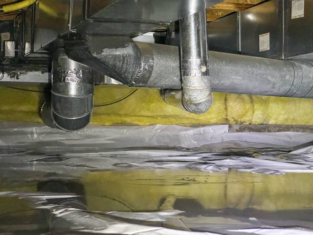 Best Carpet water damage restoration  in Gridley, IL