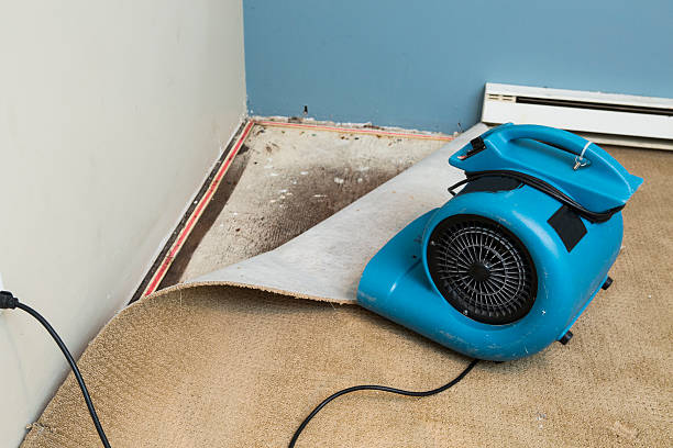Reliable Gridley, IL Water damage restoration Solutions